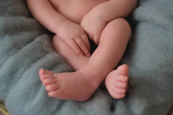 Фотосессия Новорожденных Одеяло Шерсти Покрывало Серое Маленькие Руки Ноги Ребенка — стоковое фото