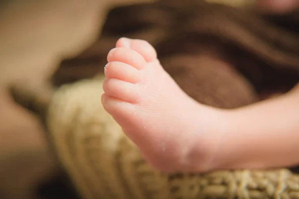 Photo Shoot Newborns Knitted Blanket Wool Bedspread Brown Small Hands — Stock Photo, Image