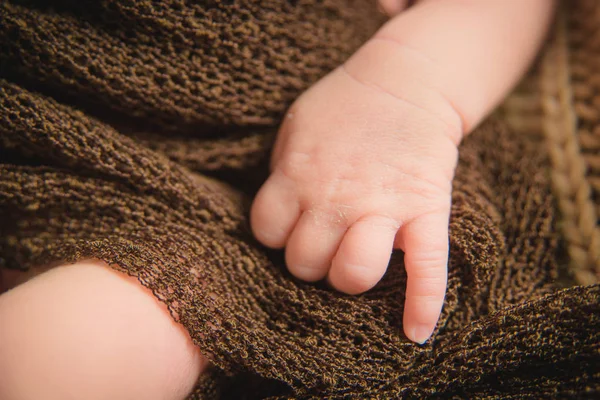 Photo Shoot Newborns Knitted Blanket Wool Bedspread Brown Small Hands — Stock Photo, Image