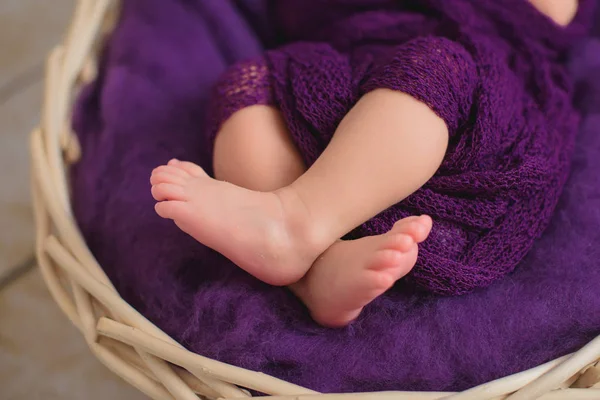 Fotoshooting Für Neugeborene Strickdecke Aus Wolle Die Bettdecke Ist Lila — Stockfoto