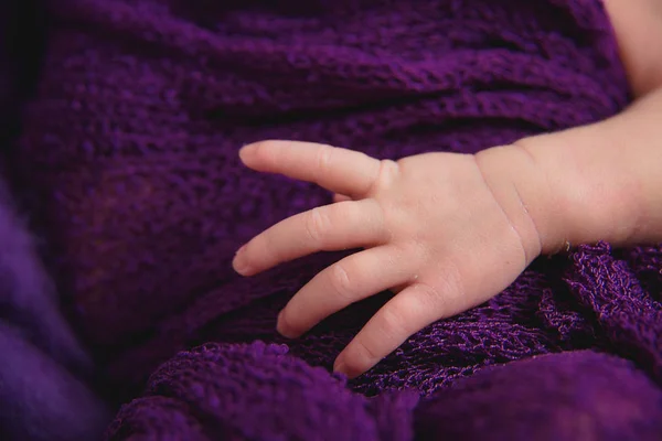 Photo Shoot Newborns Knitted Blanket Wool Bedspread Lilac Small Hands — Stock Photo, Image