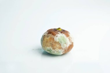 Mandalina kalıp ile. Aspergillus. Penicillium. Ascomycetes. Şımarık mandalina. Bakteri. Ürünlerde küf. Mantarlar. Mantarlar yayılmasını. Narenciye üzerinde kalıp. Küf mantar zarar.