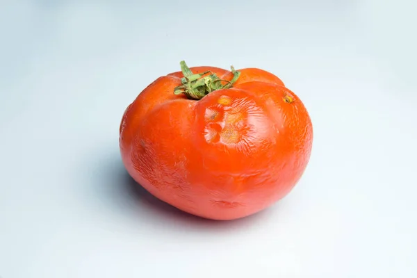 A spoiled tomato. Food waste. Aspergillus. Penicillium. Bacteria. Mold on products. Fungi. The spread of fungi. Harm from mold fungi. The damaged surface of the tomato. Rotten tomato.