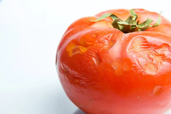 A spoiled tomato. Food waste. Aspergillus. Penicillium. Bacteria. Mold on products. Fungi. The spread of fungi. Harm from mold fungi. The damaged surface of the tomato. Rotten tomato.