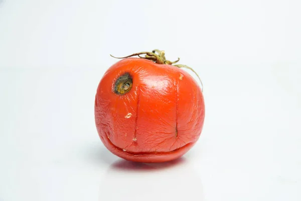 Eine Verdorbene Tomate Lebensmittelverschwendung Aspergillus Penicillium Bakterien Schimmel Auf Produkten — Stockfoto