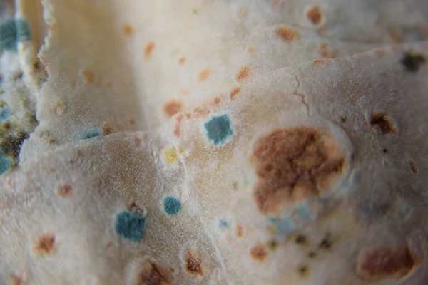 Pita bread with mold. Spoiled food. Mold on products. Mold fungus. Aspergillus. Penicillium. The spread of the fungus. Mold plaque. Harm from mold fungi.