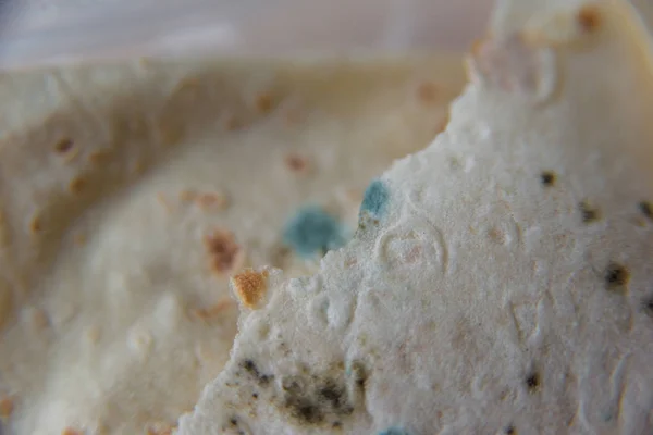 Pita bread with mold. Spoiled food. Mold on products. Mold fungus. Aspergillus. Penicillium. The spread of the fungus. Mold plaque. Harm from mold fungi.