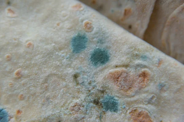 Pita bread with mold. Spoiled food. Mold on products. Mold fungus. Aspergillus. Penicillium. The spread of the fungus. Mold plaque. Harm from mold fungi.