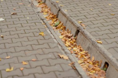 Şehirde yürümek. Döşeme parke. Sonbahar. Sararmış yapraklar kaldırımda. Sarı yapraklar hendekteki. Kaldırım döşeme doku. Sonbahar.