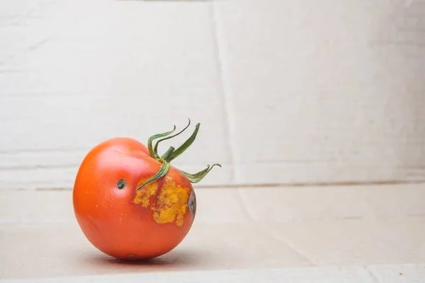 Pomodoro Viziato Sfondo Cartone Pomodoro Con Muffa Malattia Del Pomodoro — Foto Stock