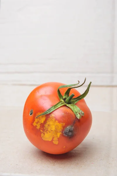 Tomate Estropeado Sobre Fondo Cartón Tomate Con Molde Enfermedad Del — Foto de Stock