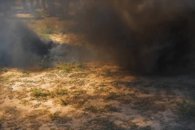 Başlangıç duman için piroteknik anlamına gelir. Duman el bombası. Duman bombası siyah. Gri duman. Doku duman. Duman alanı. Yangın. Piroteknik.