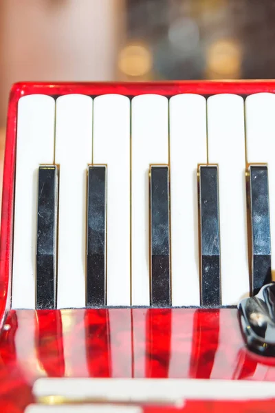Musical Instrument Man Plays Accordion Event Accordion Bellows Bayan Keyboard — Stock Photo, Image