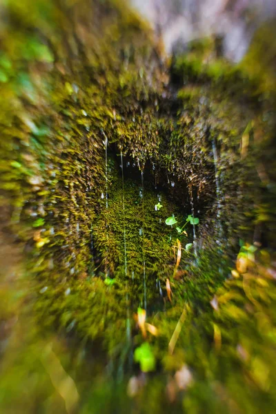 Mały Wodospad Górski Duże Głazy Brukowiec Spray Wody Zielony Mech — Zdjęcie stockowe
