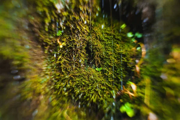 小さな山の滝大きな巨石と石畳 水を噴霧する 岩の上に緑の苔 川の流れが速い ネイチャーウォーク — ストック写真
