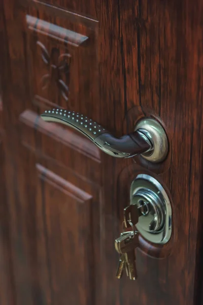 Klucze Zamka Drzwiowego Brązowe Metalowe Drzwi Wejściowe Drzwi Zewnętrzne Niezawodnym — Zdjęcie stockowe