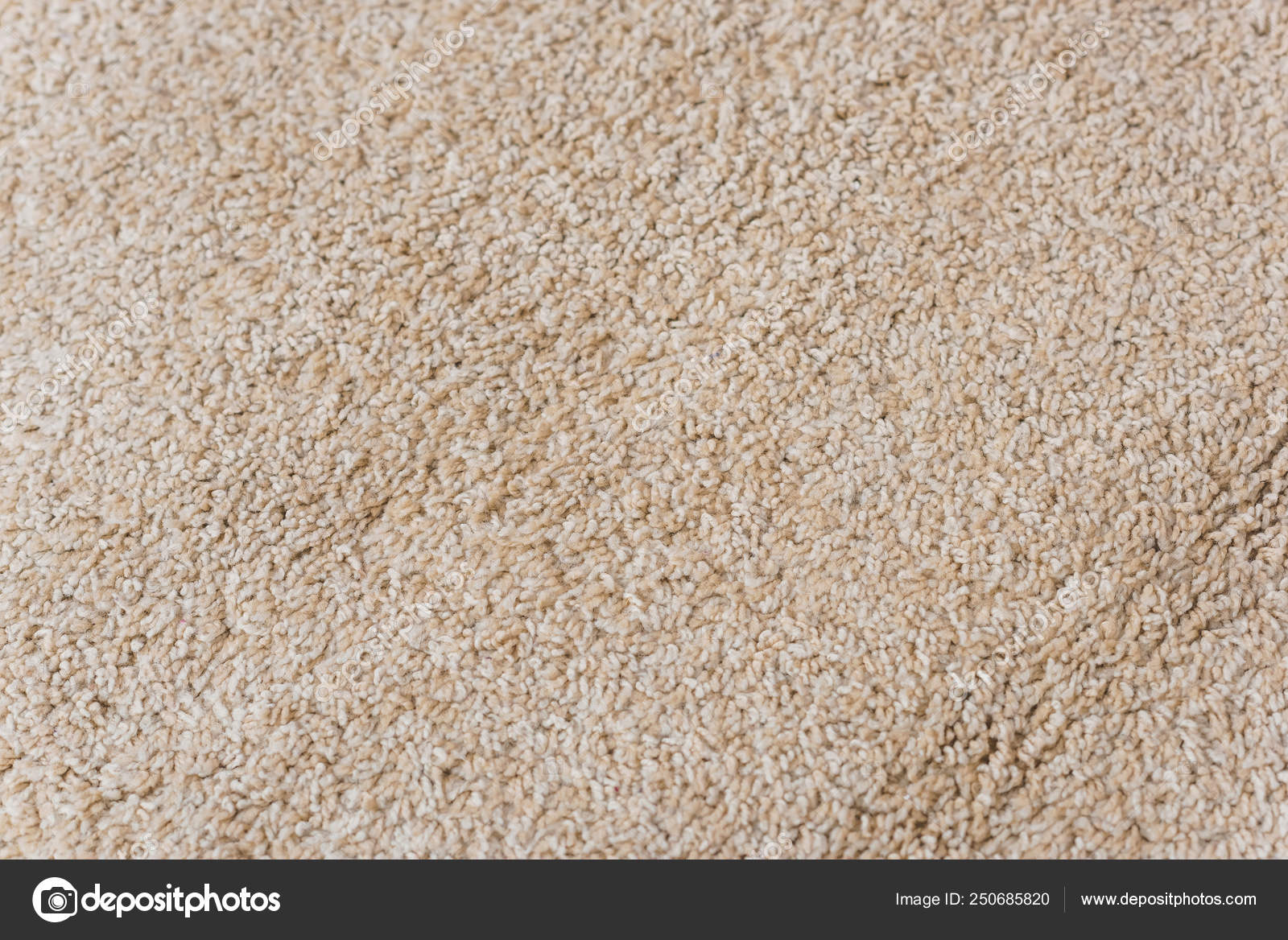 carpet floor covering