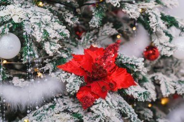 Noel ağacı. Kırmızı ve Gümüş yuvarlak oyuncaklar. Parlayan çelenk. Noel ağacı Poinsettia çiçekler ile dekore edilmiştir. Tüy beyaz simler.