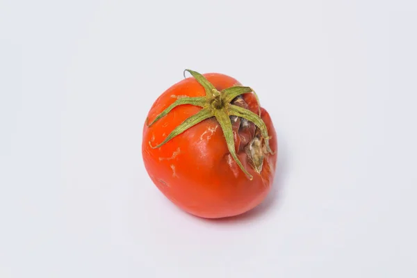 Diseases of tomatoes. Spoiled Tomato with mold on a white background. Ecological threat in agriculture. Improper storage of vegetables.