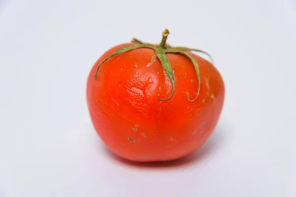 Las Enfermedades Los Tomates Tomate Estropeado Con Moho Sobre Fondo — Foto de Stock