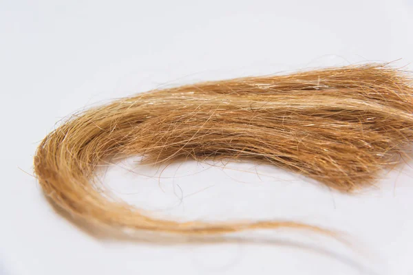 Knip Haar Een Witte Achtergrond Hair Extensions Nieuwe Kapsel Beeld — Stockfoto