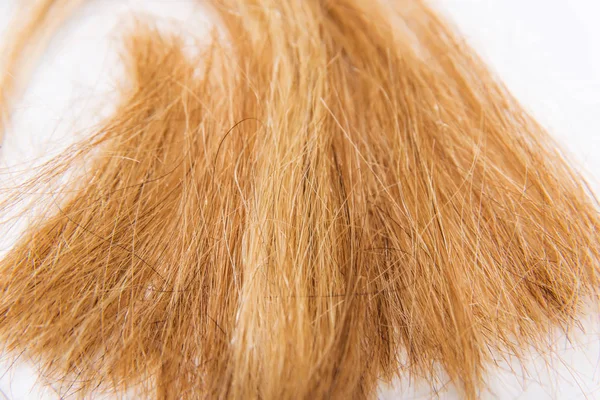 Knip Haar Een Witte Achtergrond Hair Extensions Nieuwe Kapsel Beeld — Stockfoto