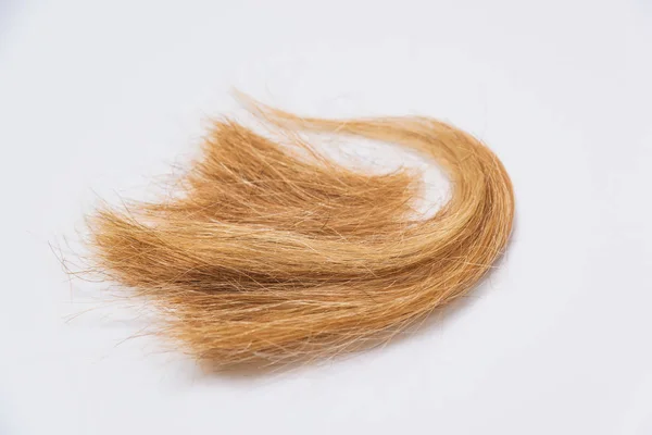 Corte Cabelo Fundo Branco Extensão Cabelo Novo Corte Cabelo Mudança — Fotografia de Stock