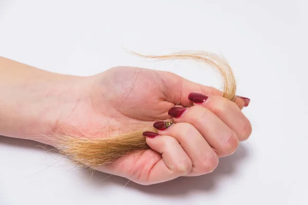 Corte Cabello Mano Sobre Fondo Blanco Extensión Capilar Nuevo Corte — Foto de Stock