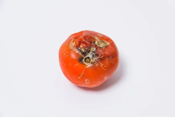 Malattie Pomodori Pomodoro Viziato Con Muffa Sfondo Bianco Minaccia Ecologica — Foto Stock