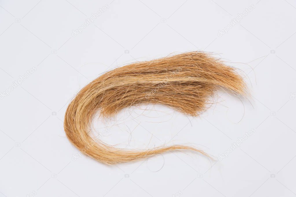 Cut hair on a white background. Hair extension. New haircut. Image change. Hair loss Change hairstyles. Work hairdresser.