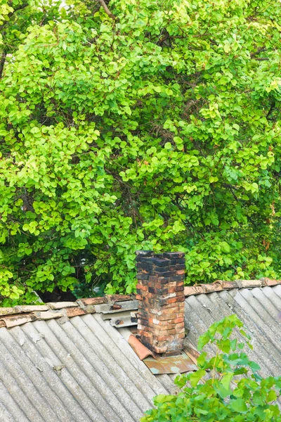 Cubierta Vieja Con Pizarra Chimenea Ladrillo Fondo Árboles Verdes Casa — Foto de Stock
