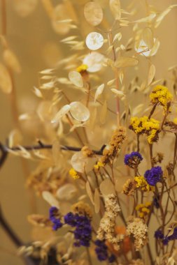 Kurutulmuş çiçek ve bitki dekoratif buket. İç Dekorasyon ikebanas. Hafif bir arka plan üzerinde kuru bitkiler bileşimi.