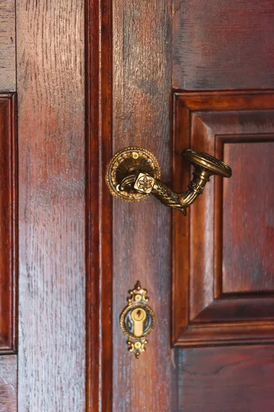 Uşă Mahon Epocă Textura Lemnului Lacuit Mâner Metalic Ușa Interioară — Fotografie, imagine de stoc