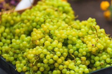 Demet yeşil üzüm siyah plastik sepet içinde. Üzüm çilek. Meyve ve çilek üstünde belgili tanımlık çarşı sayaç.