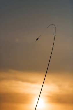 Gün batımında olta. Karadeniz çıkabilir. Günbatımı içinde belgili tanımlık bulut. Akşam Balık tutma.