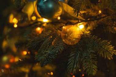 Altın ve mavi renklerde Noel dekorasyonu. Deniz tarzında yeni yıl dekorasyon. Mavi arka planda Noel ağacının tasarımında deniz kabuğu, denizatı ve yıldızlar. Yılbaşı ağacında yıldız balığı, şeritler ve topları.