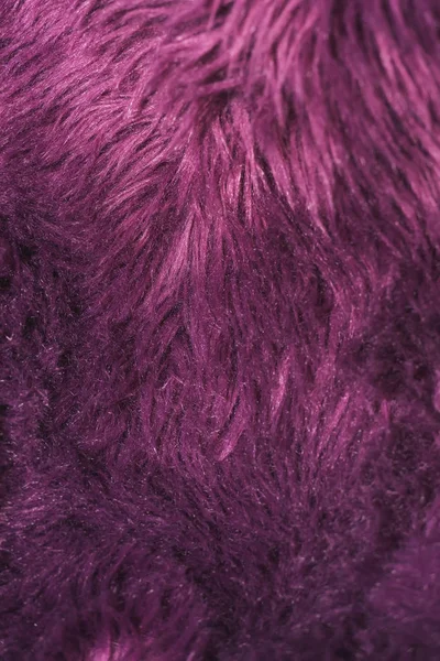 Texture Purple Fur Artificial Color Fur Fur Interior Vegan Fur — Stock Photo, Image