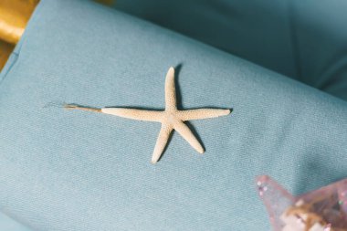 Deniz tarzı Oda Dekorasyon. Noel oyuncak denizyıldızı mavi koltuk arka plan üzerinde. Dekoratif öğe.