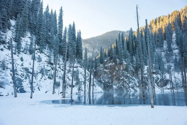 Kaindy See Kasachstan Zugefrorener See Mit Baumstämmen Wintertourismus Der Republik — Stockfoto
