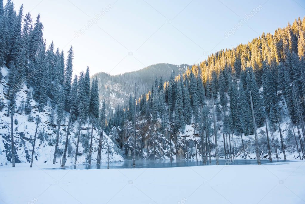 Kaindy Lake in Kazakhstan. Frozen lake with tree trunks. Winter tourism in the Republic of Kazakhstan. The slopes of the mountains are covered with snow. Spruce on the mountainside in winter.