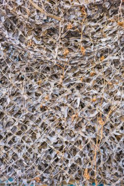 Çit metal mesh yapılır. Izgara üzerinde tırmanma kuru bitki. Kamuflaj gri kılavuz. Kuru loach.
