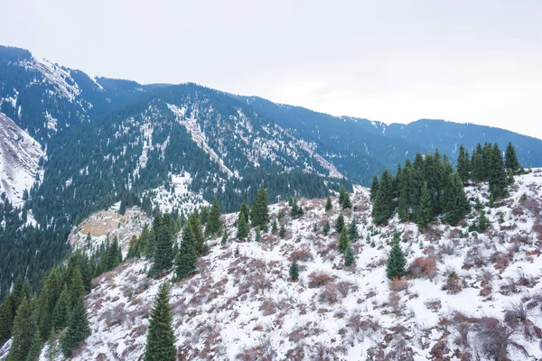 Slopes Mountains Covered Snow Spruces Mountains Winter Lake Kolsay Kazakhstan — Stock Photo, Image