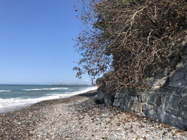Kuru bitkilerile kayalık kıyı. Karadeniz. Georgia'da dinlenin. Batum'daki kayalık plaj. Denizde büyük dalgalar.