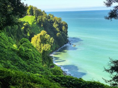 Batum'daki Botanik bahçesinin gözlem güvertesinden manzara. Karadeniz'de dinlenin. Su mavidir. Botanik bahçesinde yeşil bitki örtüsü.