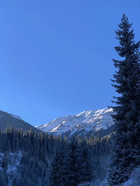 Pokryte Śniegiem Zbocza Gór Jodami Zimowy Spacer Przyrodzie Las Iglastych — Zdjęcie stockowe