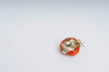 Beyaz ve yeşil kalıp ile domates. Şımarık domates üzerinde kalıplar ile mantar. Beyaz bir arka planda şımarık kurutulmuş domates. Sebzelerin uygunsuz depolanması.