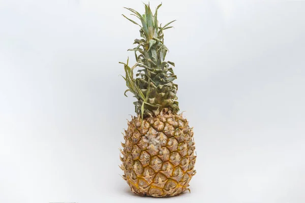 Ananas Med Mögel Vit Bakgrund Vit Och Blå Svamp Med — Stockfoto