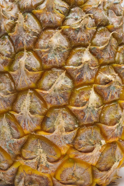 Texture of pineapple with mold. White and blue fungus with mold on the surface of pineapple. A spoiled rotten pineapple. Improper storage and transportation of fruit.