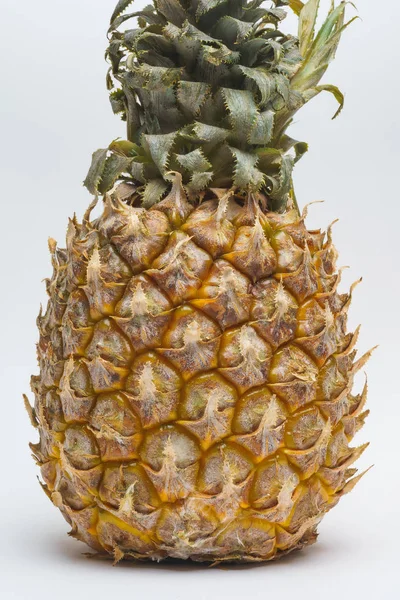 Ananas Med Mögel Vit Bakgrund Vit Och Blå Svamp Med — Stockfoto