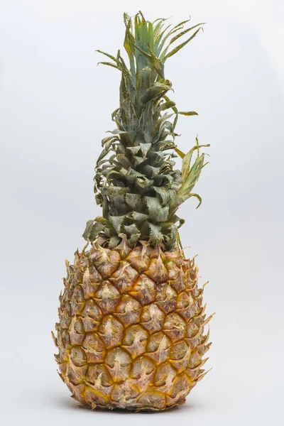 Vit Och Blå Svamp Med Mögel Ytan Ananas Ananas Med — Stockfoto